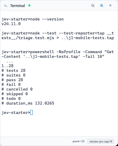 AgentGrid terminal showing Node 24.11.0 and all 28 local starter tests passing.